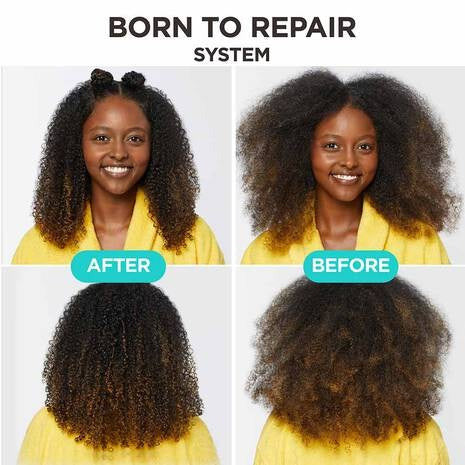 CAROL'S DAUGHTER: Ultimate Repair Sulfate-Free Nourishing Shampoo - 11oz | Upgrade Your Hair Care Routine
